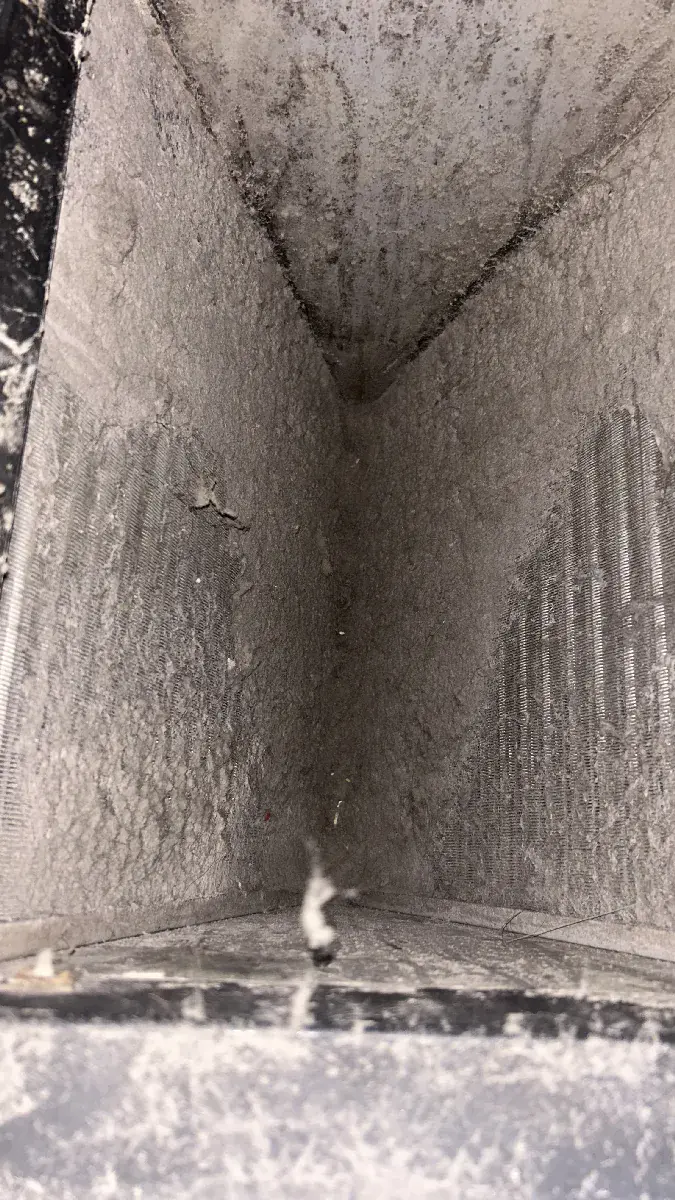 Dirty evaporator coil clogged with dust and debris before maintenance